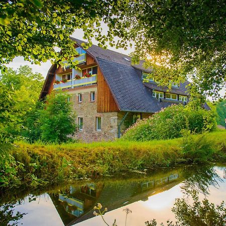 Hotel Frankenschleif Waldmünchen Exteriér fotografie