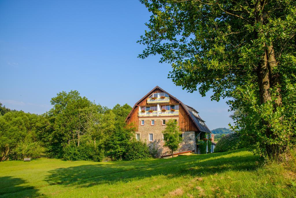Hotel Frankenschleif Waldmünchen Exteriér fotografie